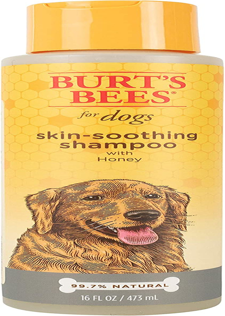 Burt'S Bees for Dogs Natural Skin Soothing Shampoo with Honey - Pet Shampoo for Dogs, Burts Bees Dog Shampoo for Smelly Dogs, Puppy Shampoo, Dog Wash, Dog Grooming Supplies, Dog Bathing Supplies