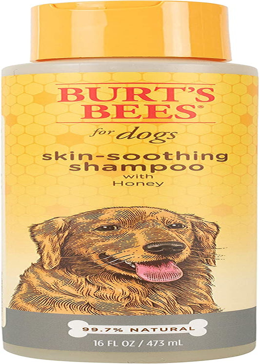 Burt'S Bees for Dogs Natural Skin Soothing Shampoo with Honey - Pet Shampoo for Dogs, Burts Bees Dog Shampoo for Smelly Dogs, Puppy Shampoo, Dog Wash, Dog Grooming Supplies, Dog Bathing Supplies